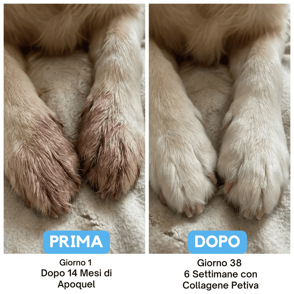 Petiva Premium Collagene Liquido