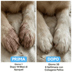 Petiva Premium Collagene Liquido