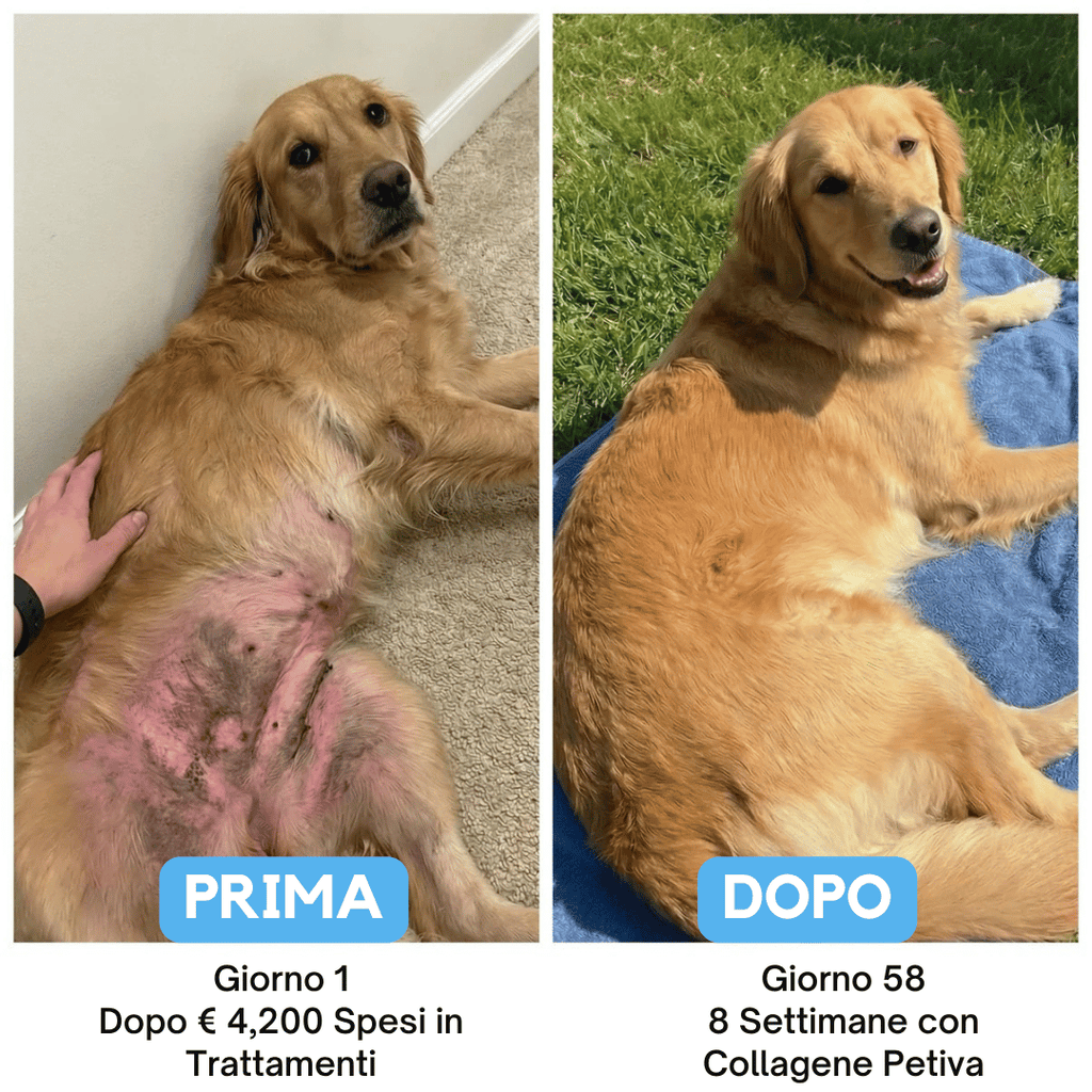 Petiva Premium Collagene Liquido