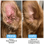 Petiva Premium Collagene Liquido