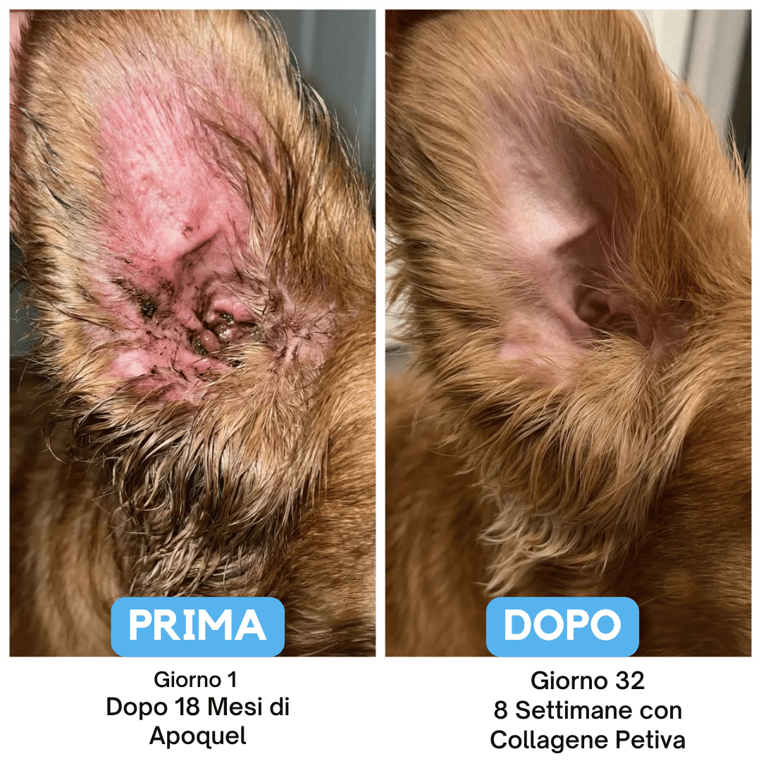 Petiva Premium Collagene Liquido